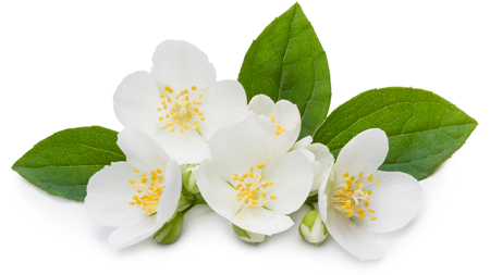 Prières pour tous Prières pour tous