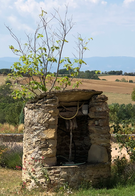 Padre Pio un homme de prière Padre Pio un homme de prière