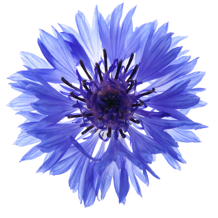 Prières pour tous Prières pour tous