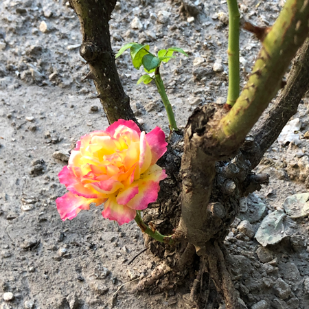 Prières pour tous Prières pour tous